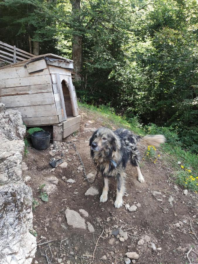 Dulovic - Katun Potoci Villa Kolašin Exterior foto